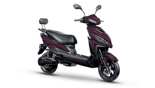 Joy e-bike Wolf Plus